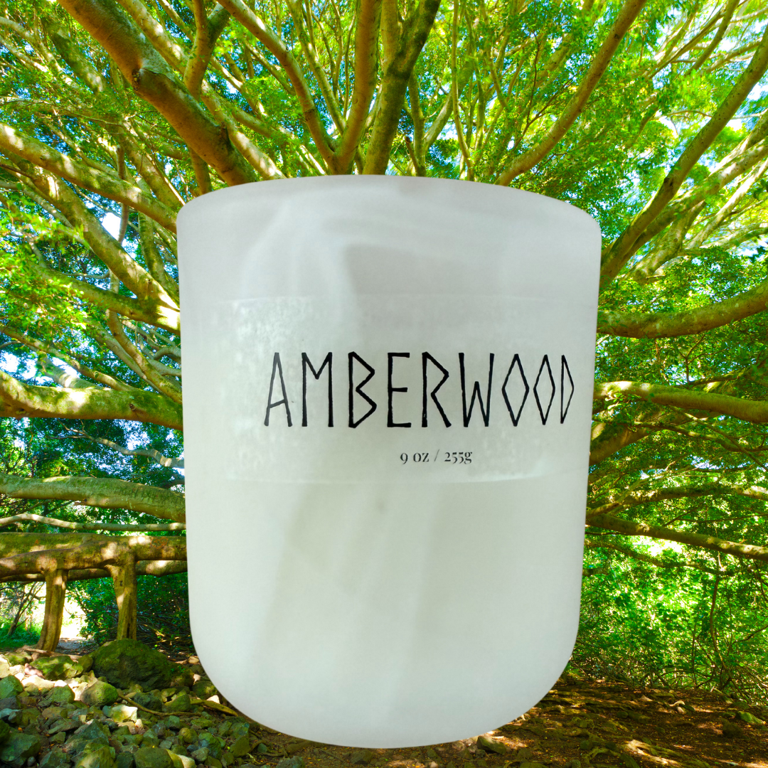 Amberwood 9oz Soy Candle - Jasmine, Tonka, Musk