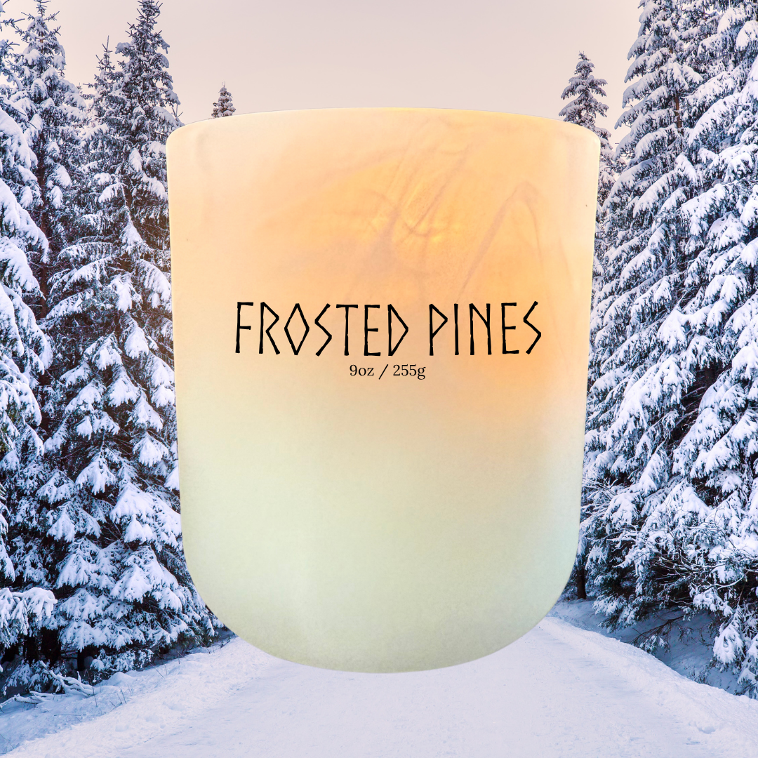 Frosted Pines Soy Candle -Cypress, Evergreen, Fir