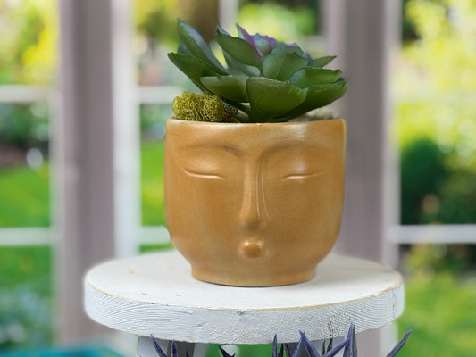 Hazy Face Concrete Planter – Handmade Pot with Drainage Hole