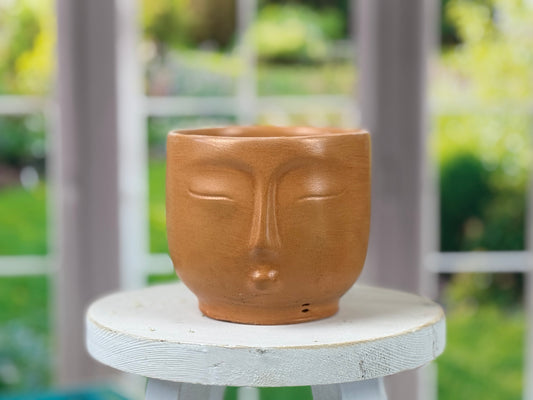 Hazy Face Planter Pot