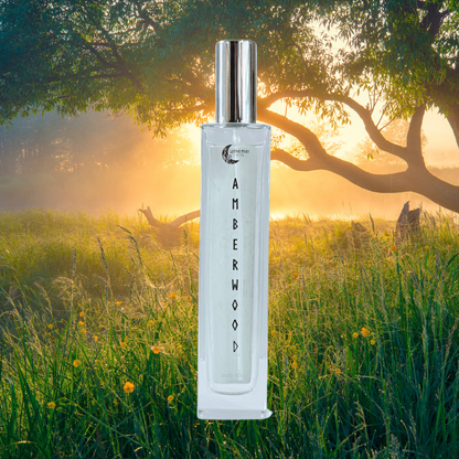 Amberwood body spray standing in a golden grassy field at sunrise with trees in the background